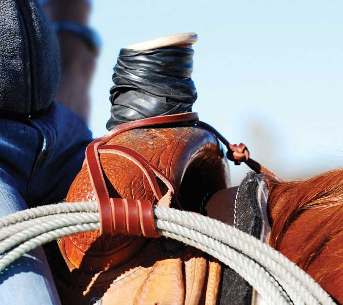 Martin Saddlery Rope Strap Latigo